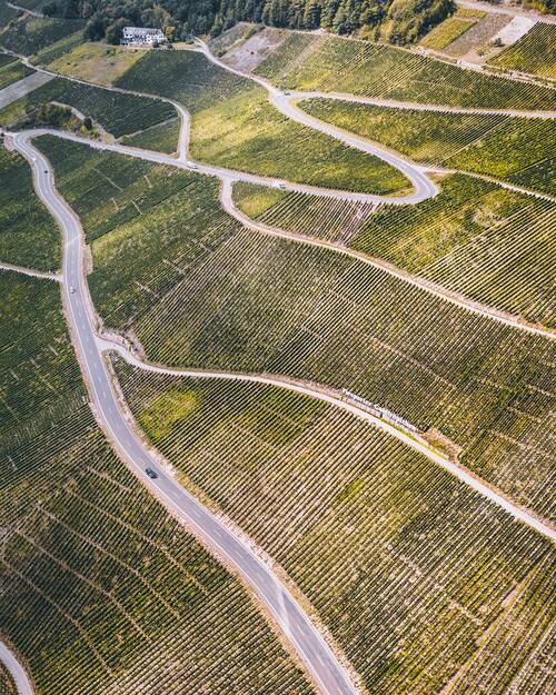 A street meandering down a hill full of vines. 